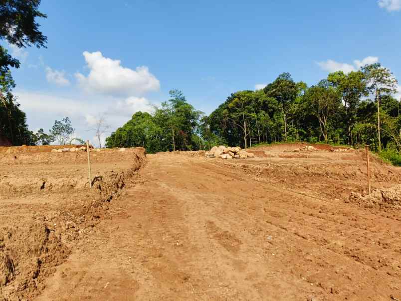 tanah murah di pakintelan gunungpati semarang