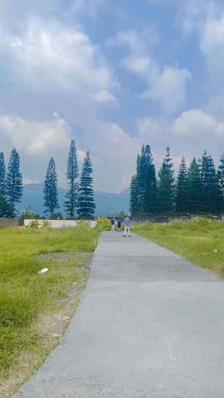 tanah murah free shm di cisarua puncak bogor