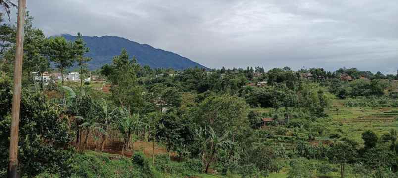 tanah murah view bagus di puncak bogor