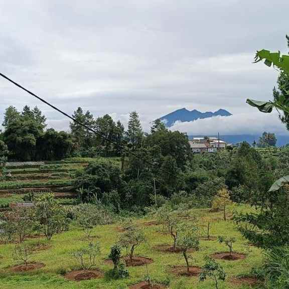 tanah murah view bagus di puncak bogor