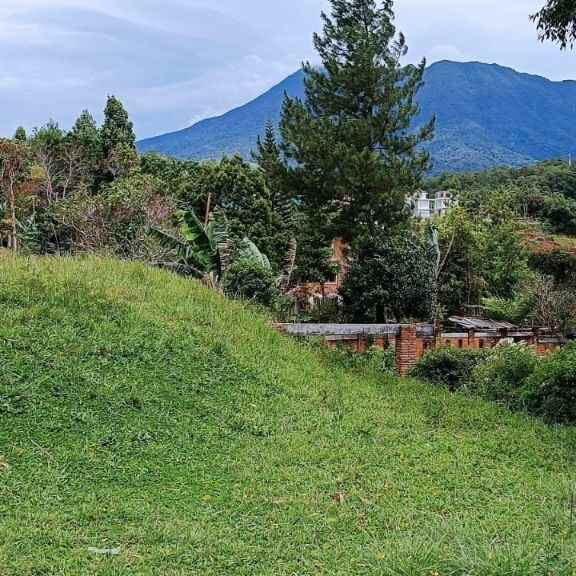 tanah murah view bagus di puncak bogor