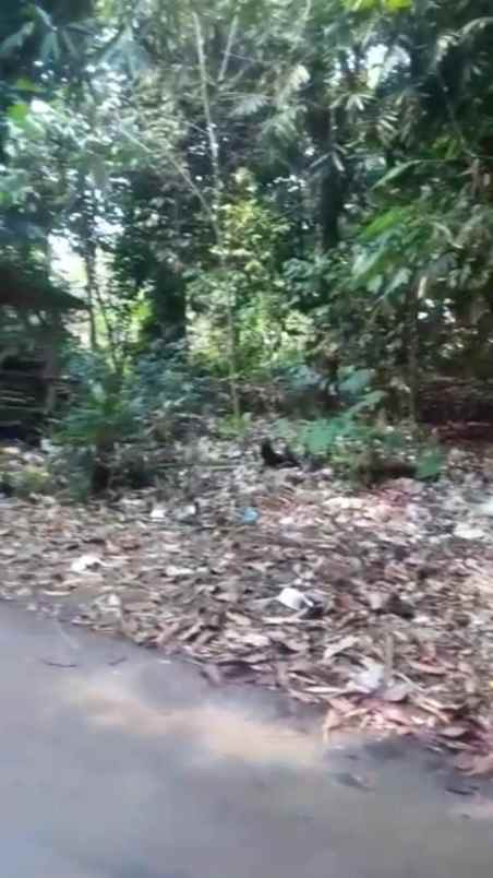 tanah pinggir jalan di curug tinggar serang