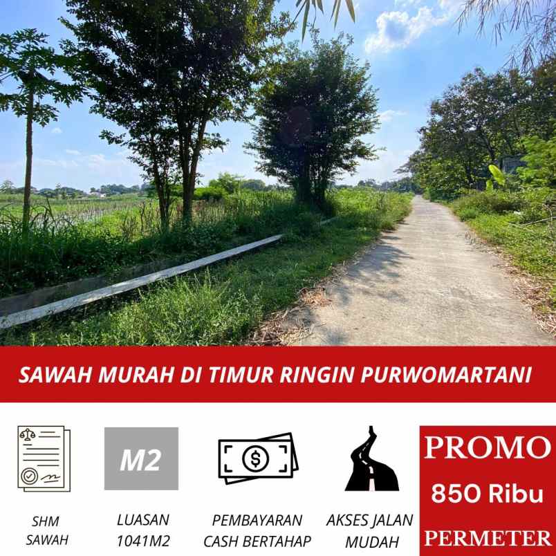 tanah sawah murah di kalasan dekat ringin purwomartani