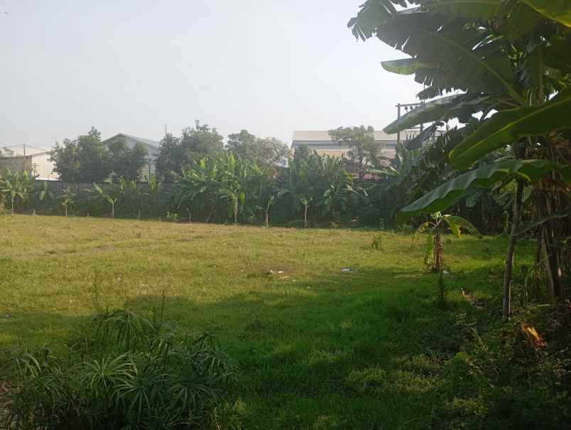 tanah strategis siap bangun bambe driyorejo gresik