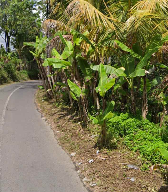 tanah view jungle di tegallalang dekat anantara ubud