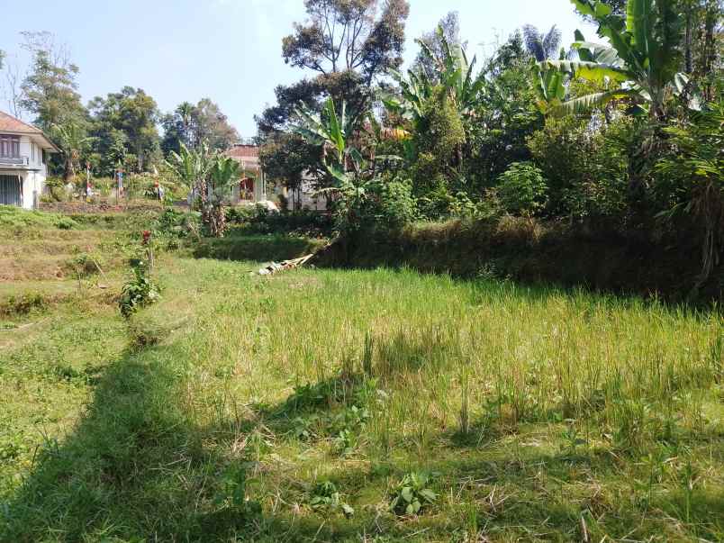 tanah view pegunungan ciater dekat wisata subang