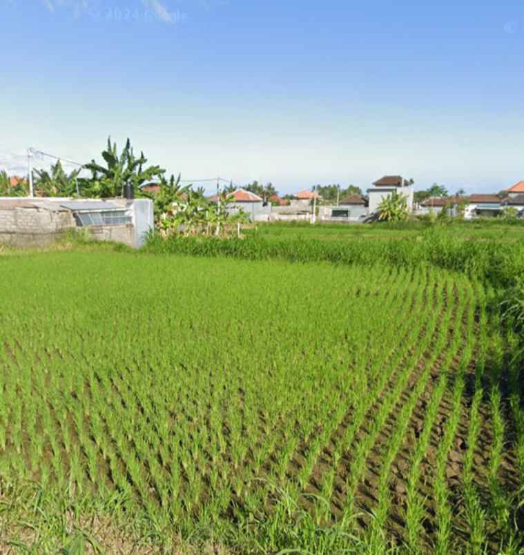 tanah view sawah dan gunung di keramas gianyar bali