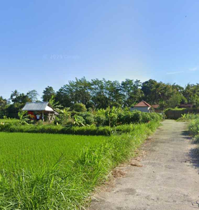 tanah view sawah dan gunung di keramas gianyar bali