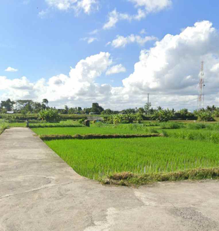 tanah view sawah dan gunung di keramas gianyar bali