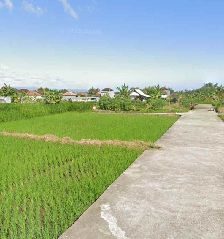 tanah view sawah dan gunung di keramas gianyar bali