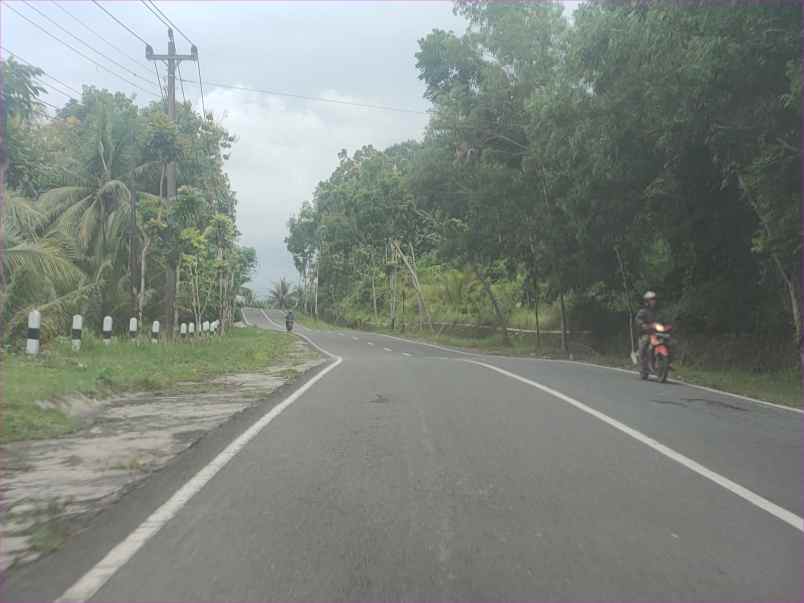 1 jt an tanah shm di nanggulan jl ngapak kenteng