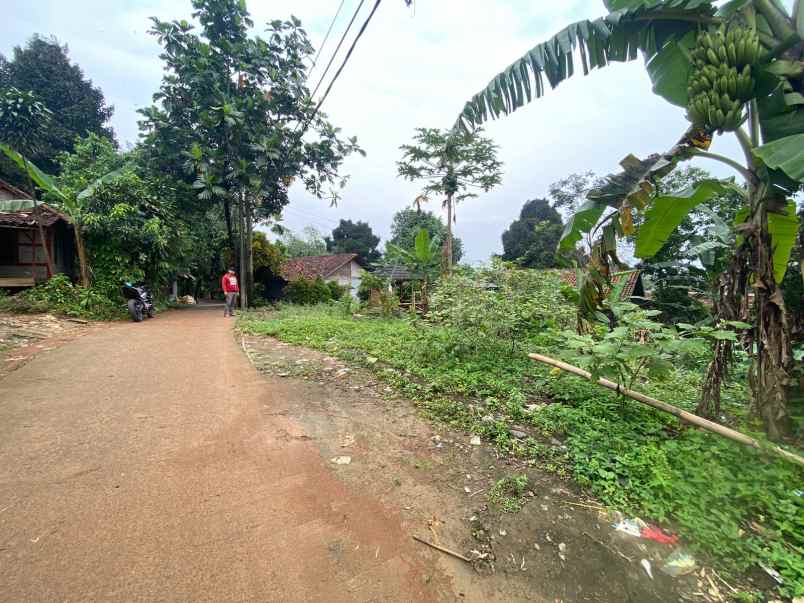 cijayanti babakan madang tanah murah