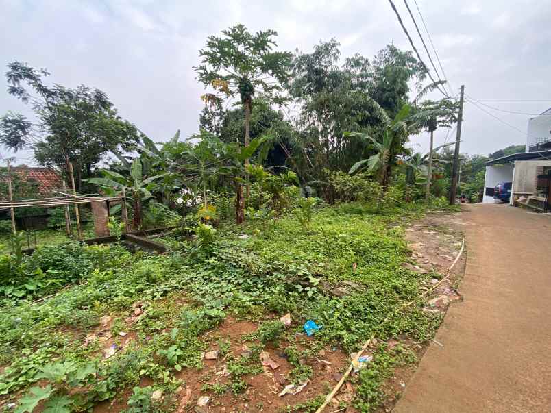 cijayanti babakan madang tanah murah