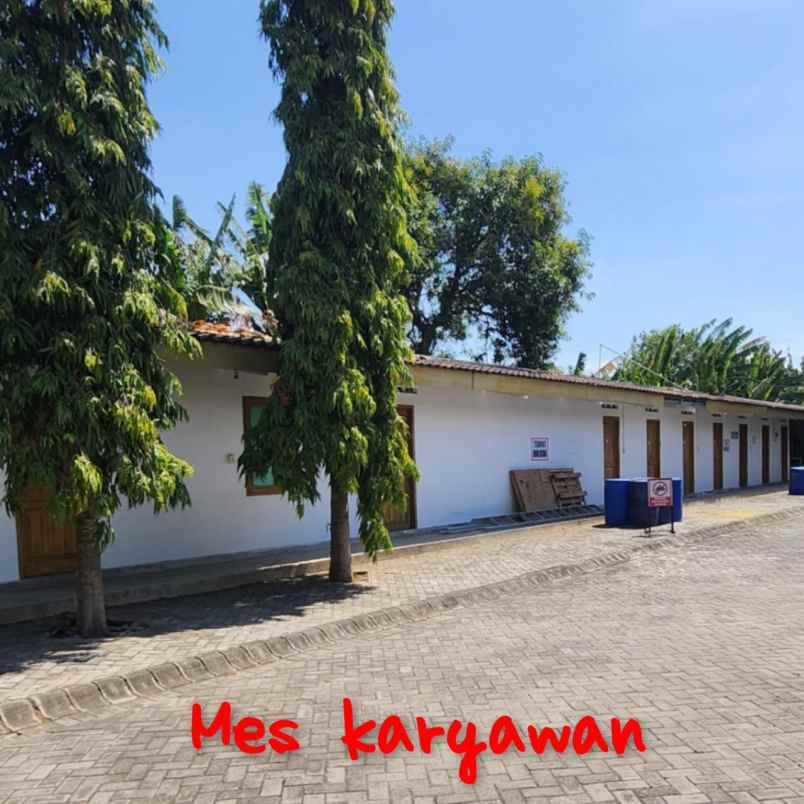 dijual disewakan gudang di kertosono