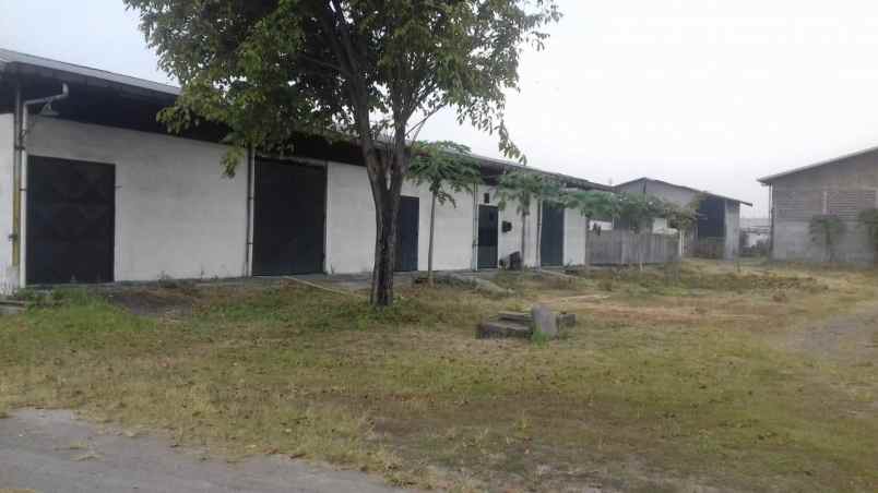 dijual gudang ex pabrik harbox di krian