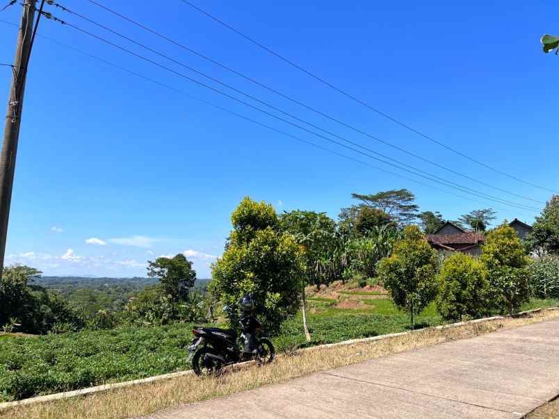 dijual kebun durian siap panen karanganyar