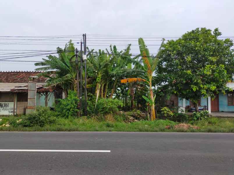 dijual lahan zona industri di demak