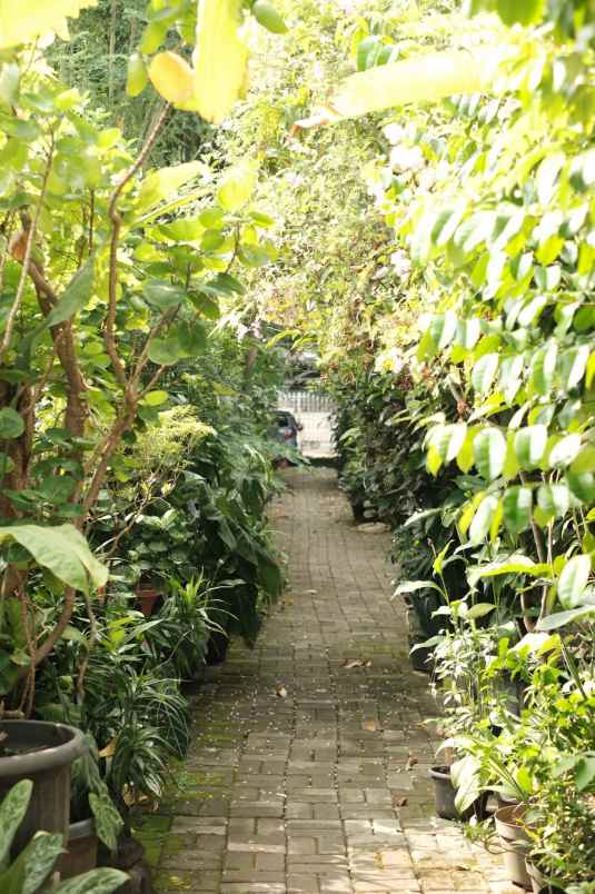 dijual rumah duren tiga