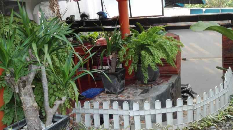 dijual rumah jalan bendi