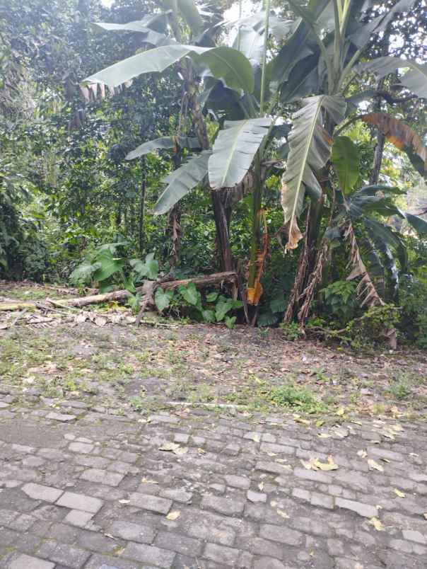 dijual rumah jalan boyong