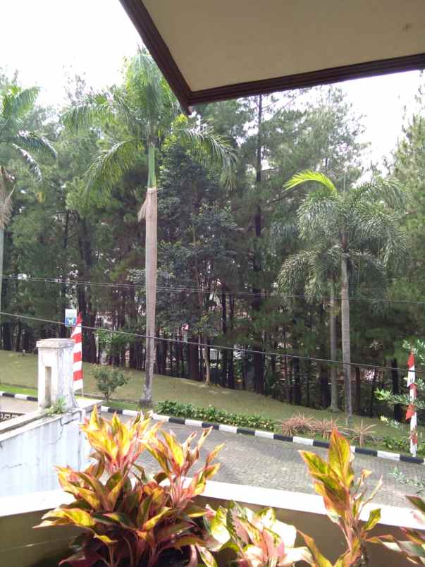 dijual rumah jalan neptunus lembah