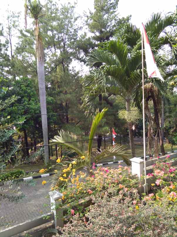 dijual rumah jalan neptunus lembah