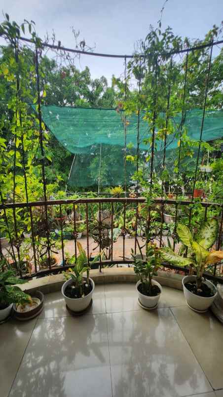 dijual rumah janur hijau kelapa gading