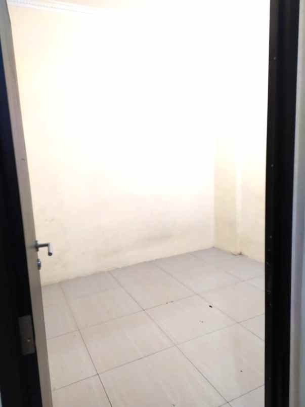 dijual rumah kelapa hibrida kelapa gading