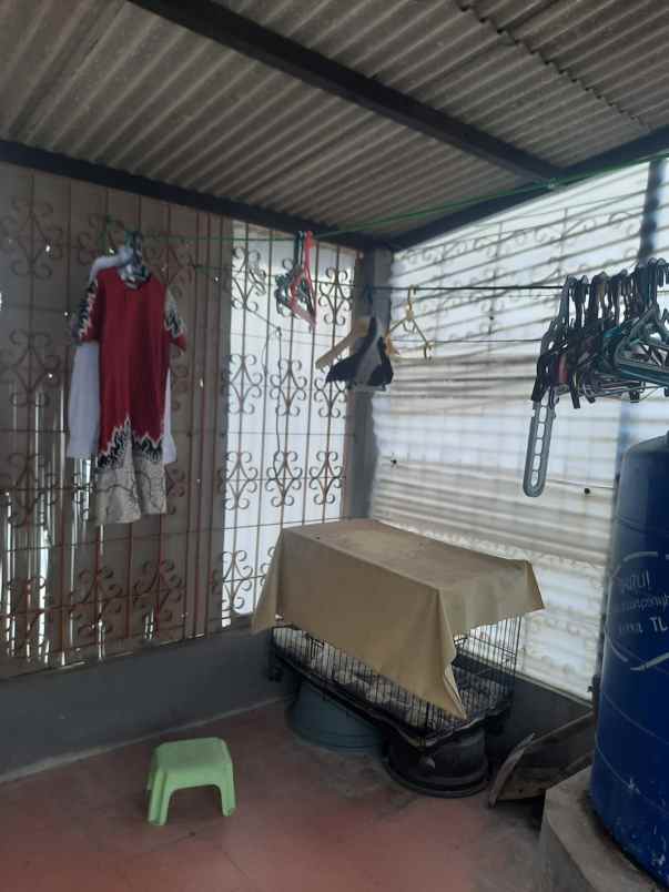 dijual rumah kelapa hibrida kelapa gading