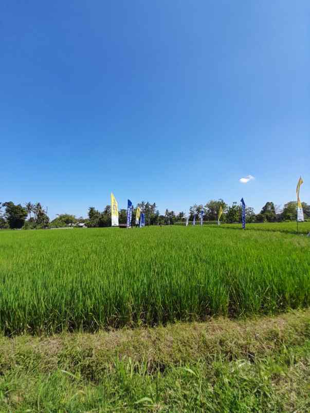 dijual rumah kemudo prambanan klaten