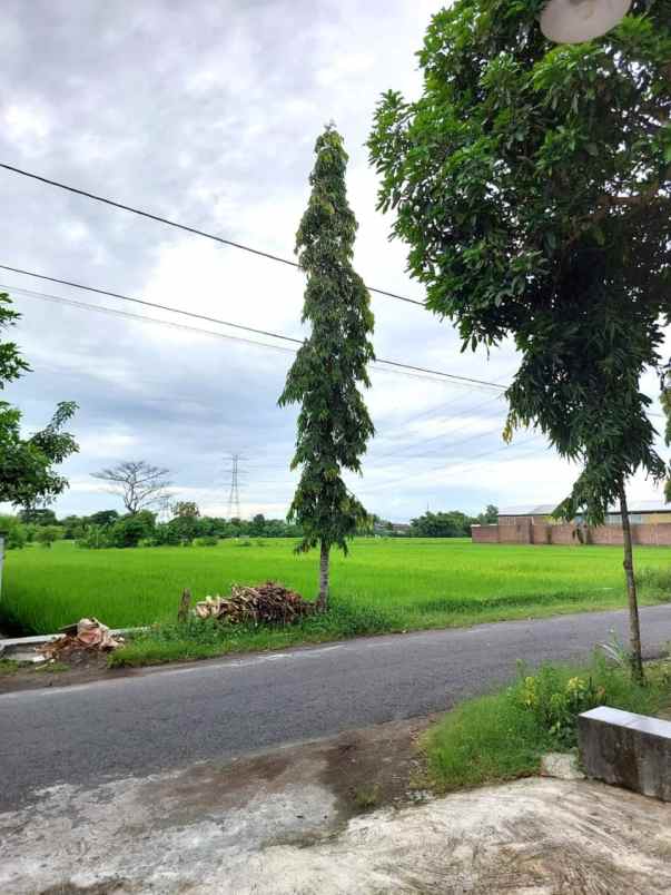 dijual rumah timbulharjo sewon bantul