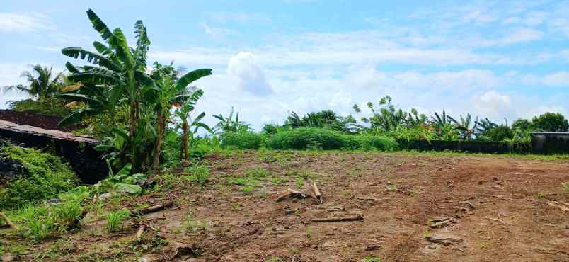 dijual tanah angantaka kutri gianyar bali