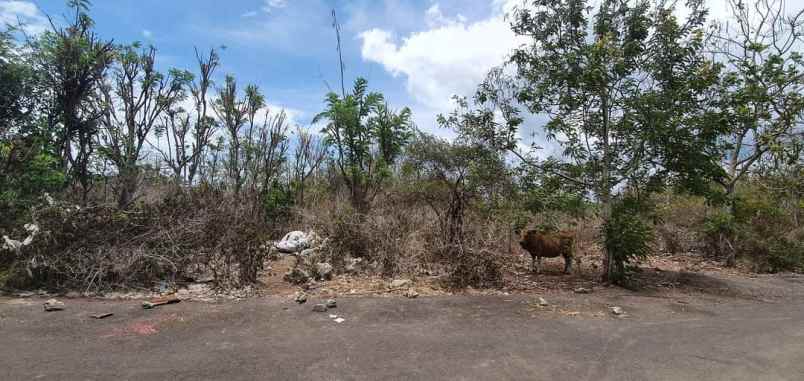 dijual tanah balangan