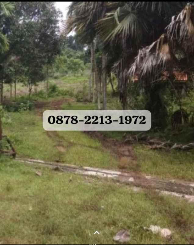 dijual tanah cileungsi bogor