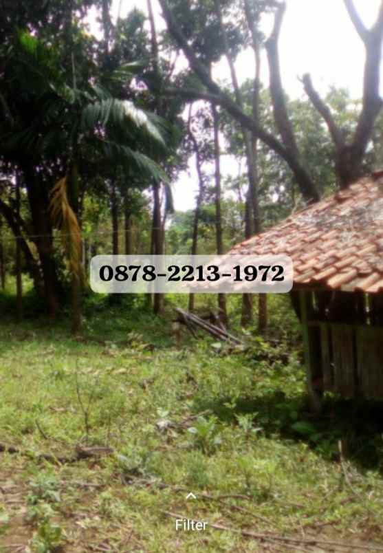 dijual tanah cileungsi bogor