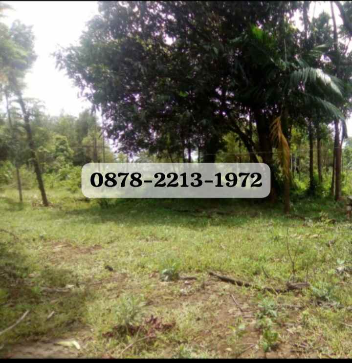 dijual tanah cileungsi bogor