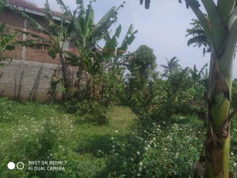 dijual tanah desa cilame kecamatan