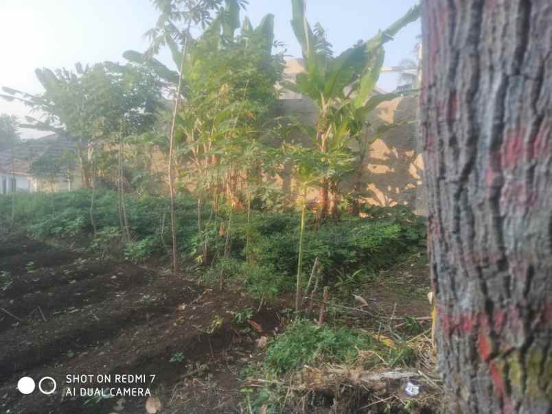 dijual tanah desa cilame kecamatan