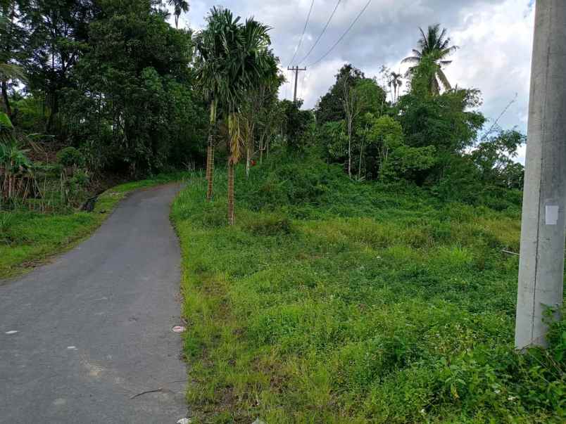 dijual tanah desa ketangkuhen