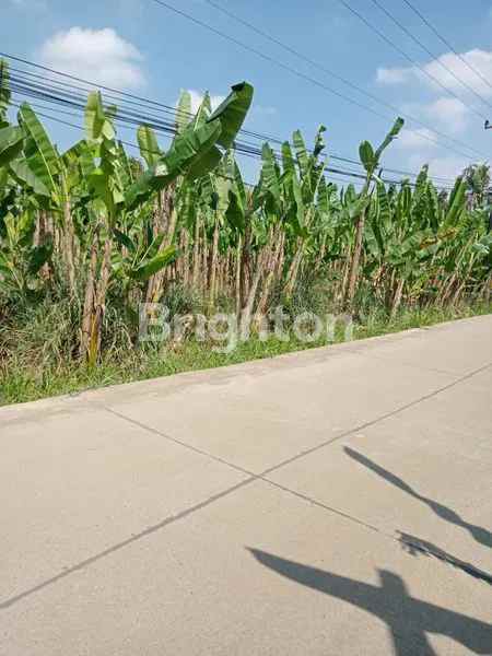 dijual tanah desa tegal kec tegalega