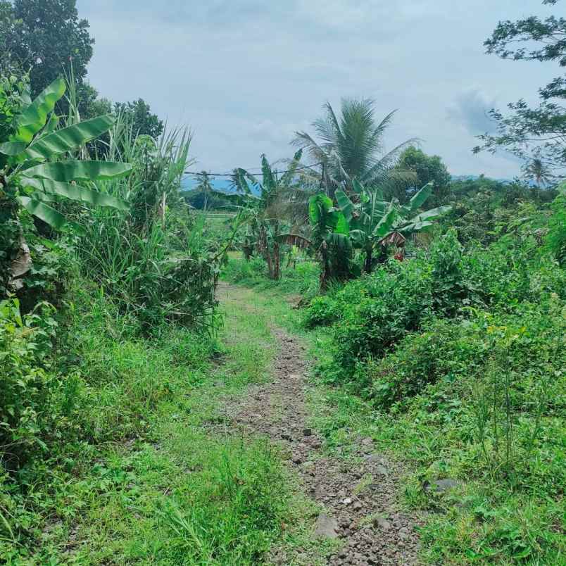 dijual tanah di cianjur