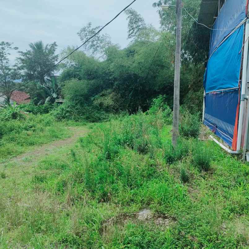 dijual tanah di cianjur