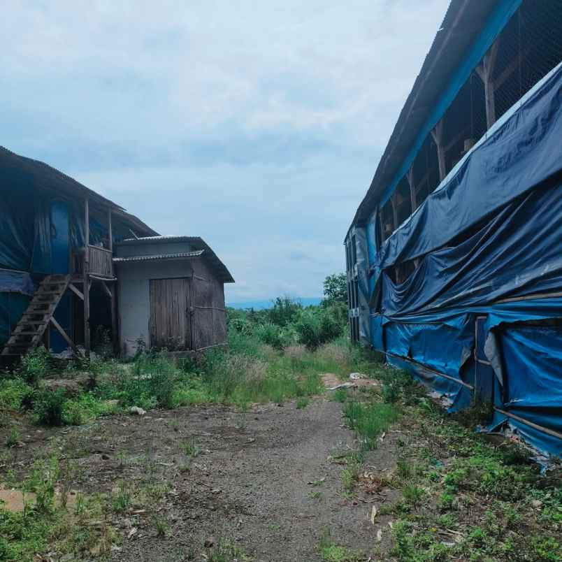 dijual tanah di cianjur