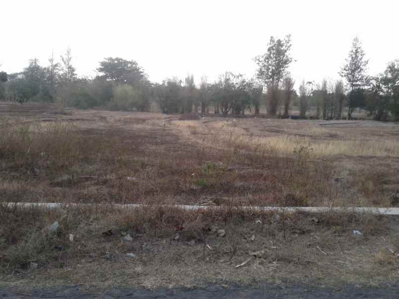 dijual tanah di ciperna kabupaten cirebon