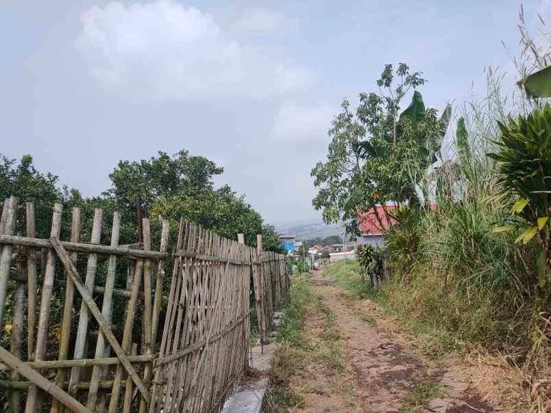 dijual tanah dusun cembo