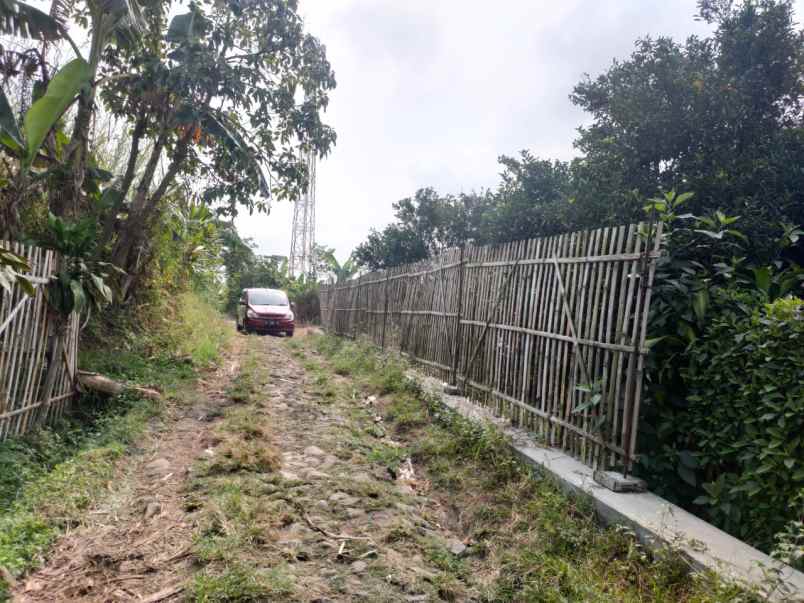 dijual tanah dusun cembo