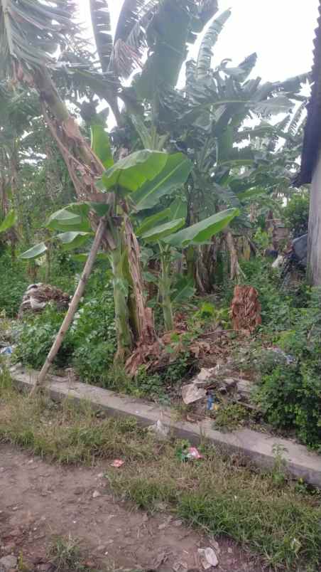 dijual tanah dusun wedoro rt 01 rw 01