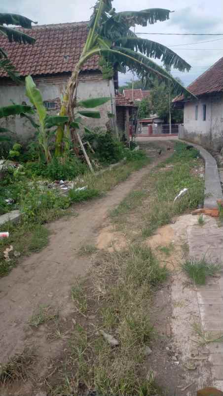 dijual tanah dusun wedoro rt 01 rw 01