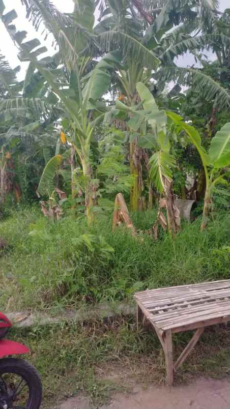 dijual tanah dusun wedoro rt 01 rw 01