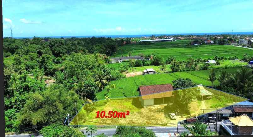 dijual tanah jalan kedungu tabanan bali